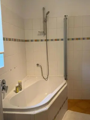 a bathroom with a shower and a bath tub at Lochkov 53 in Prague