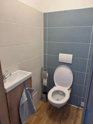 a bathroom with a toilet and a sink at Lochkov 53 in Prague