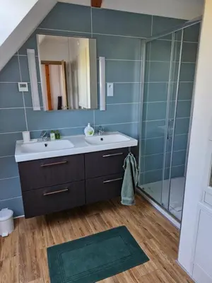 a bathroom with a sink and a mirror and a shower at Lochkov 53 in Prague