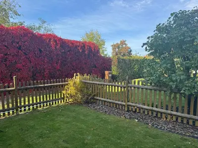 a wooden fence in front of a red bush at Lochkov 53 in Prague