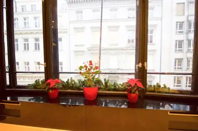 three potted plants sitting on a window sill at Apartment in the heart of Prague in Prague