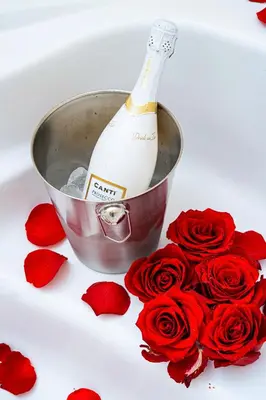 a bottle of champagne in a bucket next to red roses at Victory Deluxe Suite in Prague