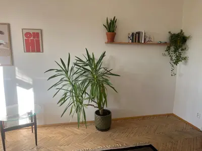 a living room with a bed and a chair at Stylový a slunný byt s uměleckým nádechem v blízkosti centra in Prague