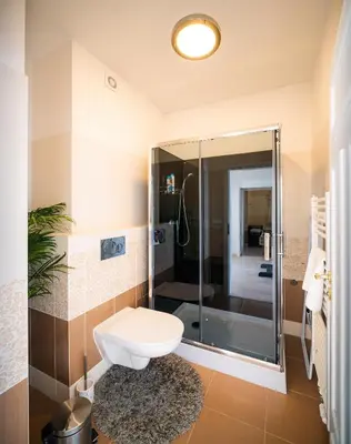 a bathroom with a toilet and a shower at Centrum Apartments Pstrossova in Prague