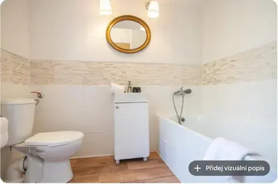 a bathroom with a toilet and a tub and a mirror at Nice one bedroom apartment in zizkov in Prague