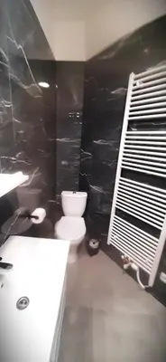 a bathroom with a white toilet and a black wall at Arbes apartman in Prague