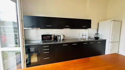 a kitchen with black cabinets and a white refrigerator at Park View Apartment Anděl in Prague