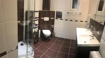 a bathroom with a toilet and a sink and a shower at Apartments & Restaurant Tkalcovsky dvur in Prague