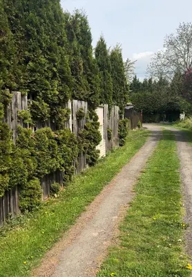 a dirt road in front of a fence at Domeček na samotě in Terezín