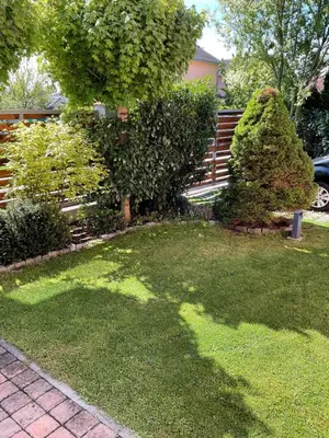 a yard with two bushes and a wooden fence at Apartmán u lesa Nové Jirny in Nové Jirny