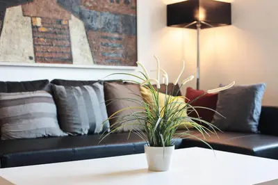 a black couch with pillows and a plant on a table at Apartment Kosatcová in Prague