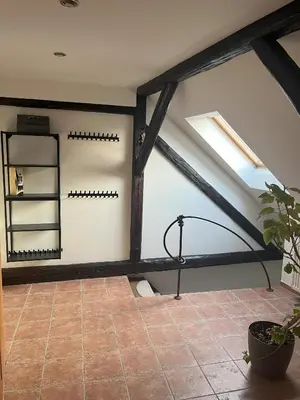 a room with a ceiling with a window and a plant at Apartmán MUV in Mělník