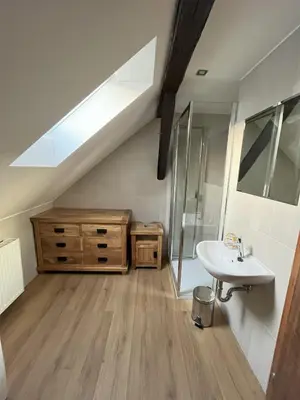 a bathroom with a sink and a shower and a mirror at Apartmán MUV in Mělník