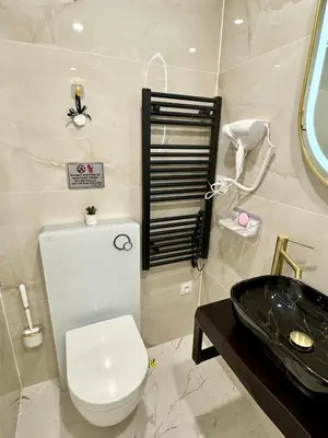 a bathroom with a white toilet and a black sink at Little Downtown Apartment in Prague