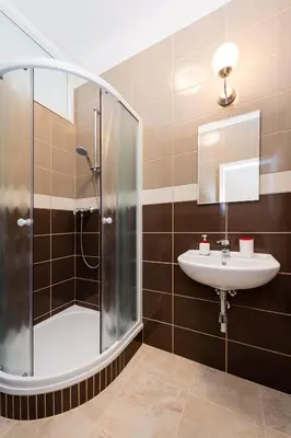 a bathroom with a shower and a sink at Affordable Stay Navratilova in Prague
