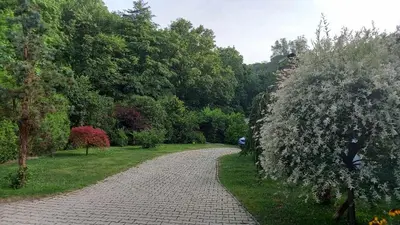 a cobblestone path in a park with trees at Penzion Hájovna U Dubu in Karlštejn