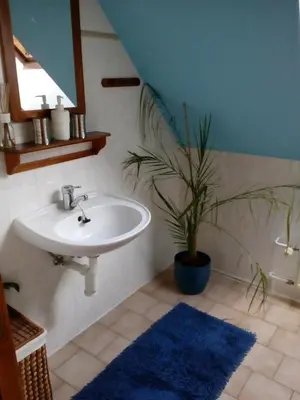 a bathroom with a sink and a potted plant at Penzion Hájovna U Dubu in Karlštejn