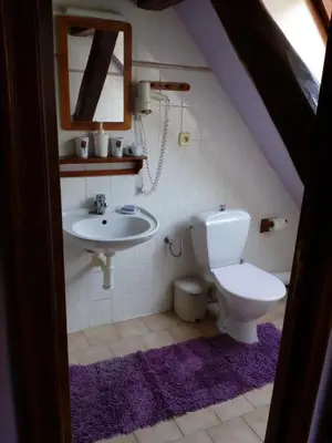 a bathroom with a toilet and a sink at Penzion Hájovna U Dubu in Karlštejn
