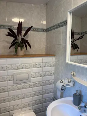 a bathroom with a sink and a toilet and a mirror at Ubytování Hoštka in Hošťka
