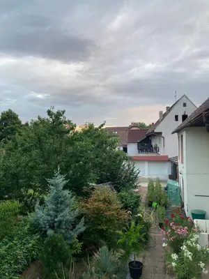 a view of a yard with trees and houses at Ubytování Hoštka in Hošťka