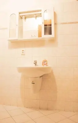 a bathroom with a sink and a mirror at Apartments Vezenska in Prague