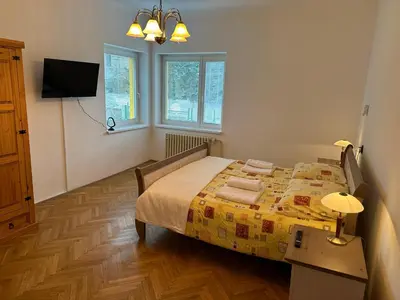 a bedroom with a bed and a tv and windows at Malá Tyršovka in Prague