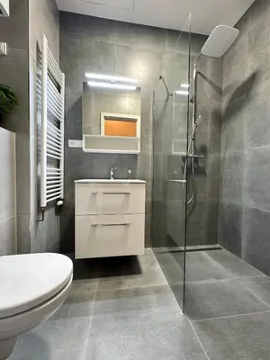 a bathroom with a shower and a toilet and a sink at Rentero Royal blue Wenceslas Apartment, Prague in Prague