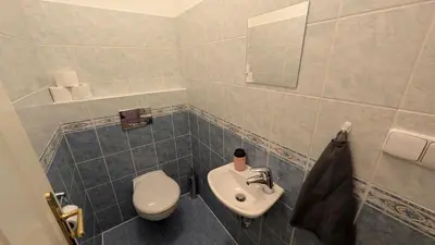a bathroom with a white toilet and a sink at Riverside Gem w Balcony View in Prague
