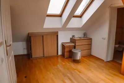 an attic room with a wooden floor and skylights at Central Riverside Duplex loft in Prague