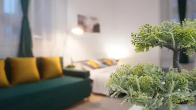 a living room with a couch and two potted plants at Quiet cozy apartment in the center in Prague