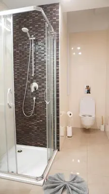 a bathroom with a shower and a toilet at Quiet cozy apartment in the center in Prague