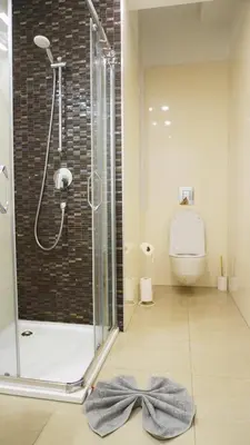 a bathroom with a shower with a bow on the floor at Quiet cozy apartment in the center in Prague