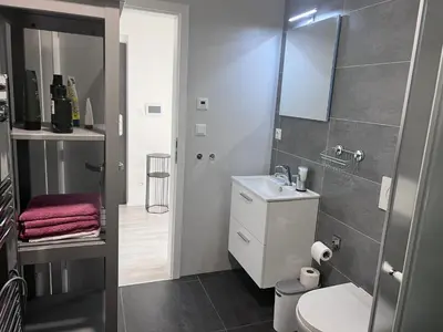a bathroom with a sink and a toilet and a shower at Modern apartment close to Tram and Airport, free parking in Prague