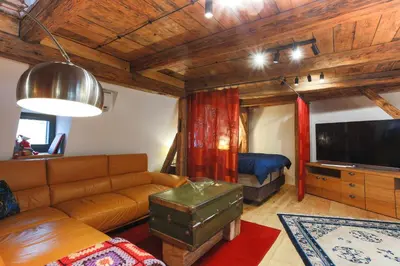 a living room with a couch and a television at Large-Elegant-Central-terrace apartment in Prague