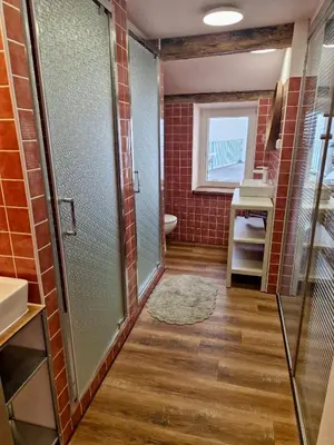 a bathroom with a shower and a sink at Large-Elegant-Central-terrace apartment in Prague