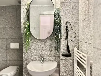a bathroom with a mirror and a plant at Agate Prague Apartment in Prague