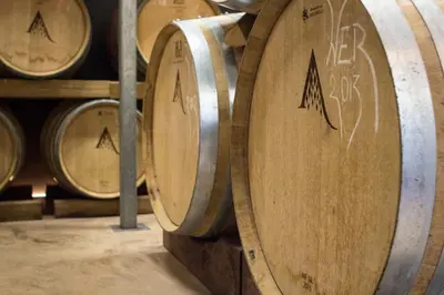 a group of wine barrels in a cellar at Apartmány Vinice Salabka in Prague