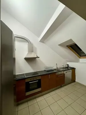 a kitchen with a sink and a stove at Dalimilova Apartments in Prague