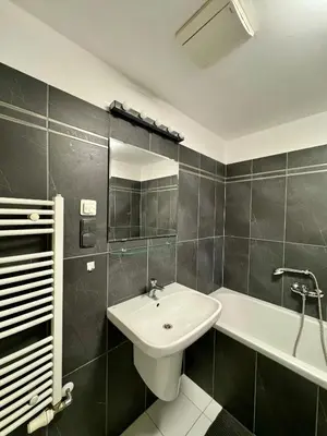 a bathroom with a sink and a bath tub at Dalimilova Apartments in Prague