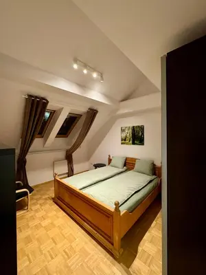 a bedroom with a bed in a room with windows at Dalimilova Apartments in Prague
