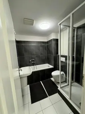 a bathroom with a toilet and a sink and a shower at Dalimilova Apartments in Prague