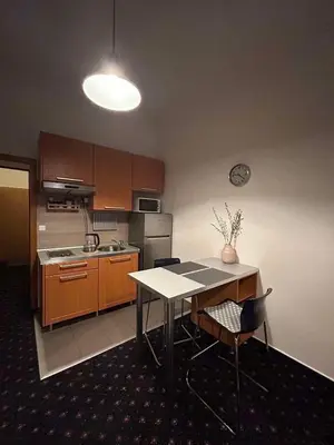 a kitchen with a table with chairs and a counter top at Vysehrad studio near the Congress Centre, new bed in Prague