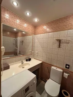 a bathroom with a toilet and a sink and a mirror at Vysehrad studio near the Congress Centre, new bed in Prague