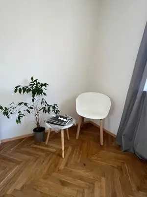 a white chair and a plant in a room at Byt Podoli in Prague