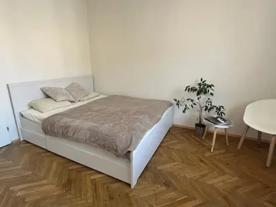 a bedroom with a bed and a table and a plant at Byt Podoli in Prague