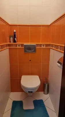 a bathroom with a toilet and a blue rug at Spacious two-room apartment in Prague in Prague