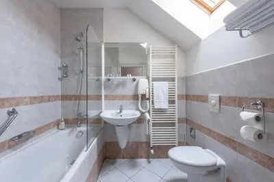 a bathroom with a sink and a toilet and a shower at St Wenceslas House in Prague