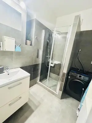 a bathroom with a shower and a sink at Helen Homestay Prague 2 in Prague