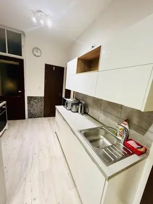 a kitchen with a sink and a counter top at Helen Homestay Prague 2 in Prague