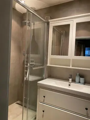 a bathroom with a shower and a sink at Colorful apartman in Holešovice in Prague